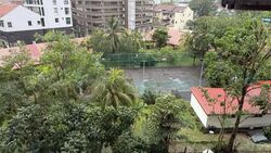 whampoa-view photo thumbnail #5